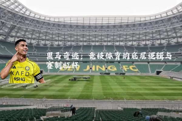 黑马奇迹:竞技体育的底层逻辑与赛制杠杆